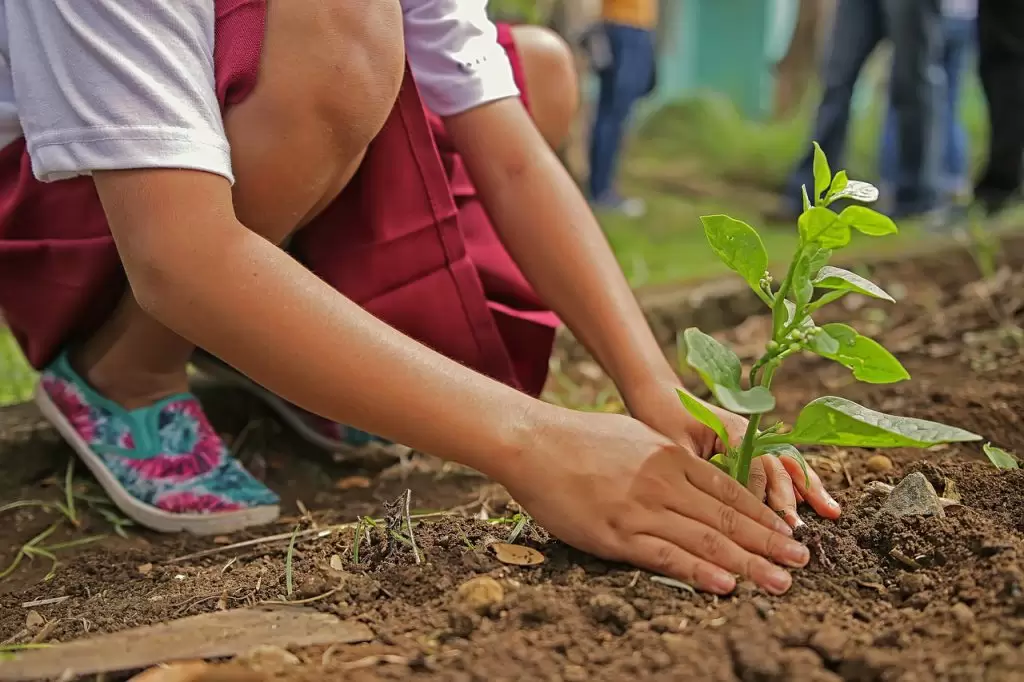 Children learning values through activities